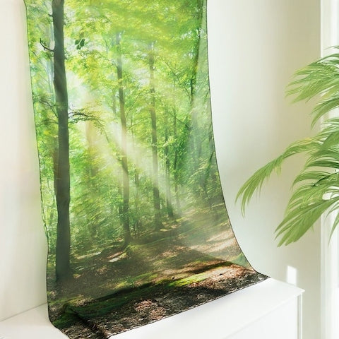 Forest Curtain